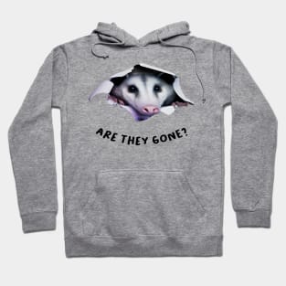 Possum Hiding Hoodie